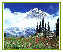 Himachal Travel Guide