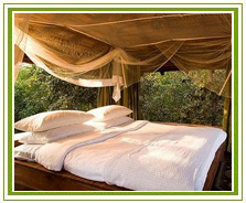 Taj Safari Lodge Baghvan