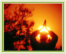 Agracious Welcome, Ananda Tourism