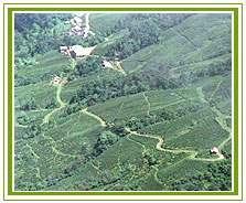 Darjeeling Countryside, Darjeeling Tour