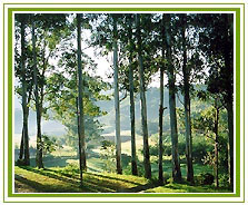 Eco Tours in India