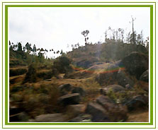 Meghalaya Travel Vacations