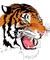 Madhya Pradesh Tour Packages