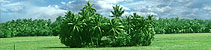 Eco Tours