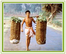 Orissa Tribals Tour