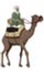 Rajasthan Tour Packages