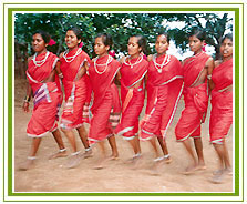 Madhya Pradesh Tribals Tour