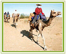 Rajasthan Tour Packages