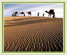 Rajasthan Tourism