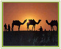 Rajasthan Tourism
