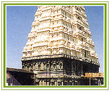 Temple, Kanchipuram Vacations