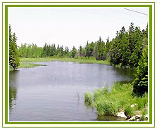 Backwater, Kumarakom Travel & Tour