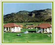 Tiger Den, Ranthambore Widlife Jungle Resorts